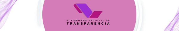 Plataforma Nacional D Transparencia